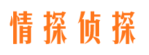 文成侦探公司